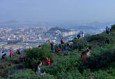 Imagen de archivo de una Jornada de reforestaci�n en Galeras 