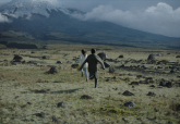 La Mar de Cine 2026. Hiedra