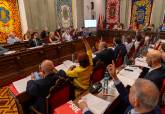 Pleno Municipal