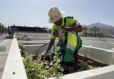 El Ayuntamiento de Cartagena renueva las p�rgolas del puerto con m�s de 600 nuevas plantas