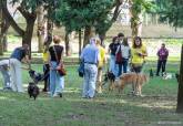 Feria de adopci�n de Perros y Gatos