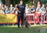 Feria de adopci�n de Perros y Gatos