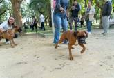 Feria de adopci�n de Perros y Gatos