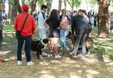 Feria de adopci�n de Perros y Gatos