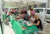 Marcha Solidaria organizada por la Asociaci�n Espa�ola contra el C�ncer